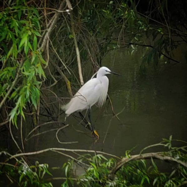 Insta-Foto aus 16.9621