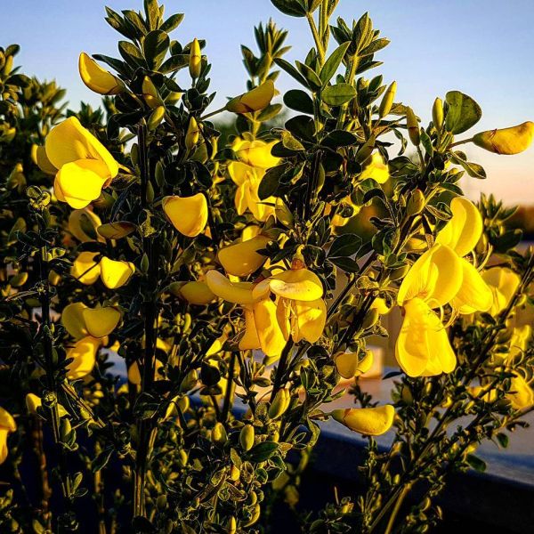 Insta-Foto aus 68.1350