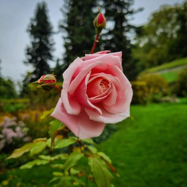 Insta-Foto aus 09.1402