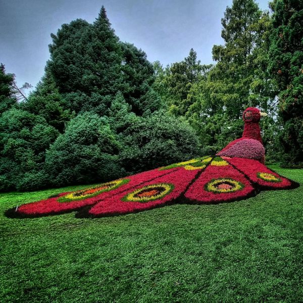 Insta-Foto aus 45.1454