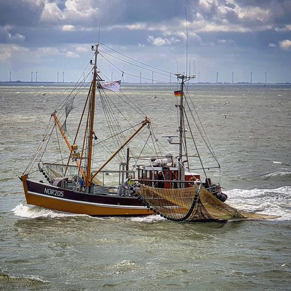 Insta-Foto aus 87.1741