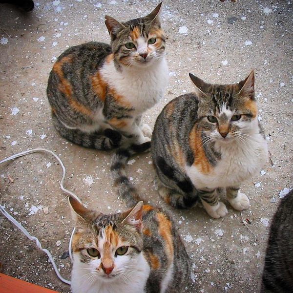 Insta-Foto aus 31.5695