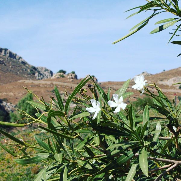 Insta-Foto aus 50.1593