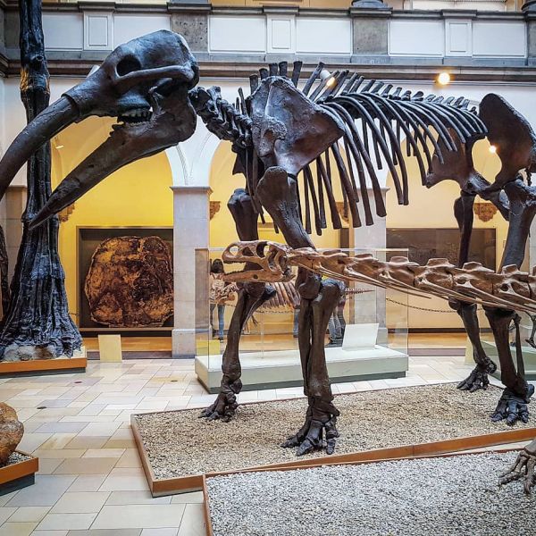 Insta-Foto aus 77.2087