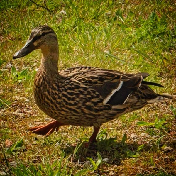 Insta-Foto aus 21.7733