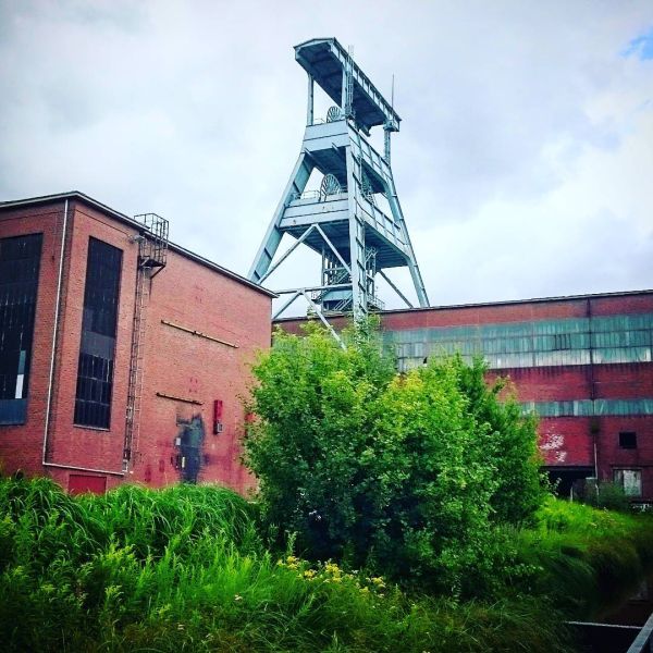 Insta-Foto aus 44.5123