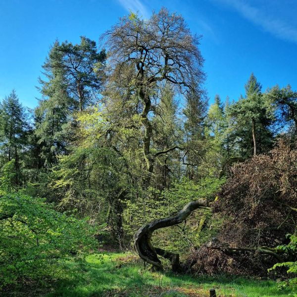 Insta-Foto aus 64.1480