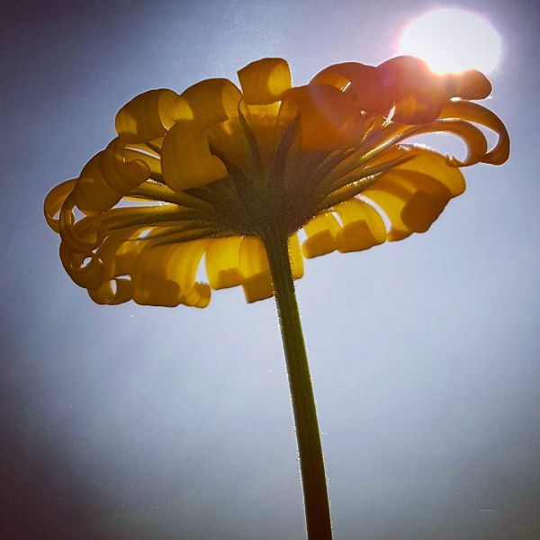 Insta-Foto aus 99.1435