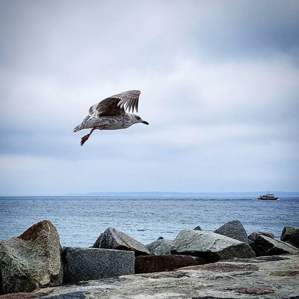 Insta-Foto aus 39.4740