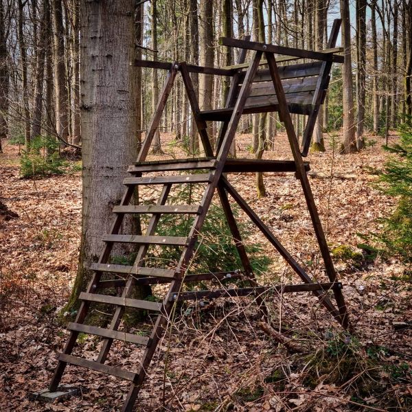 Insta-Foto aus 92.1525