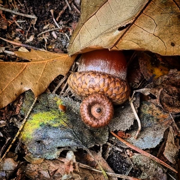 Insta-Foto aus 24.8454