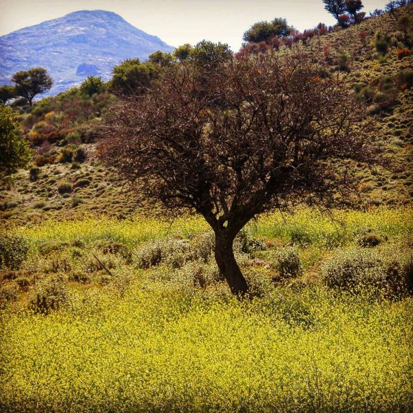 Insta-Foto aus 62.5016