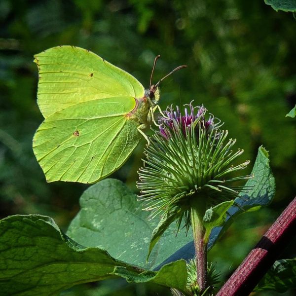 Insta-Foto aus 93.1668