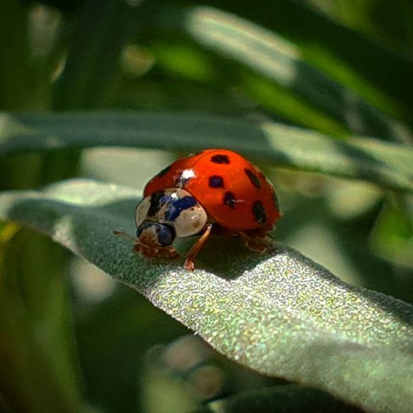 Insta-Foto aus 27.3475